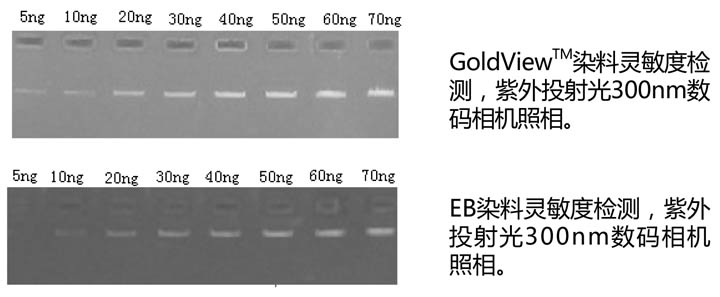 GoldView核酸染料.jpg