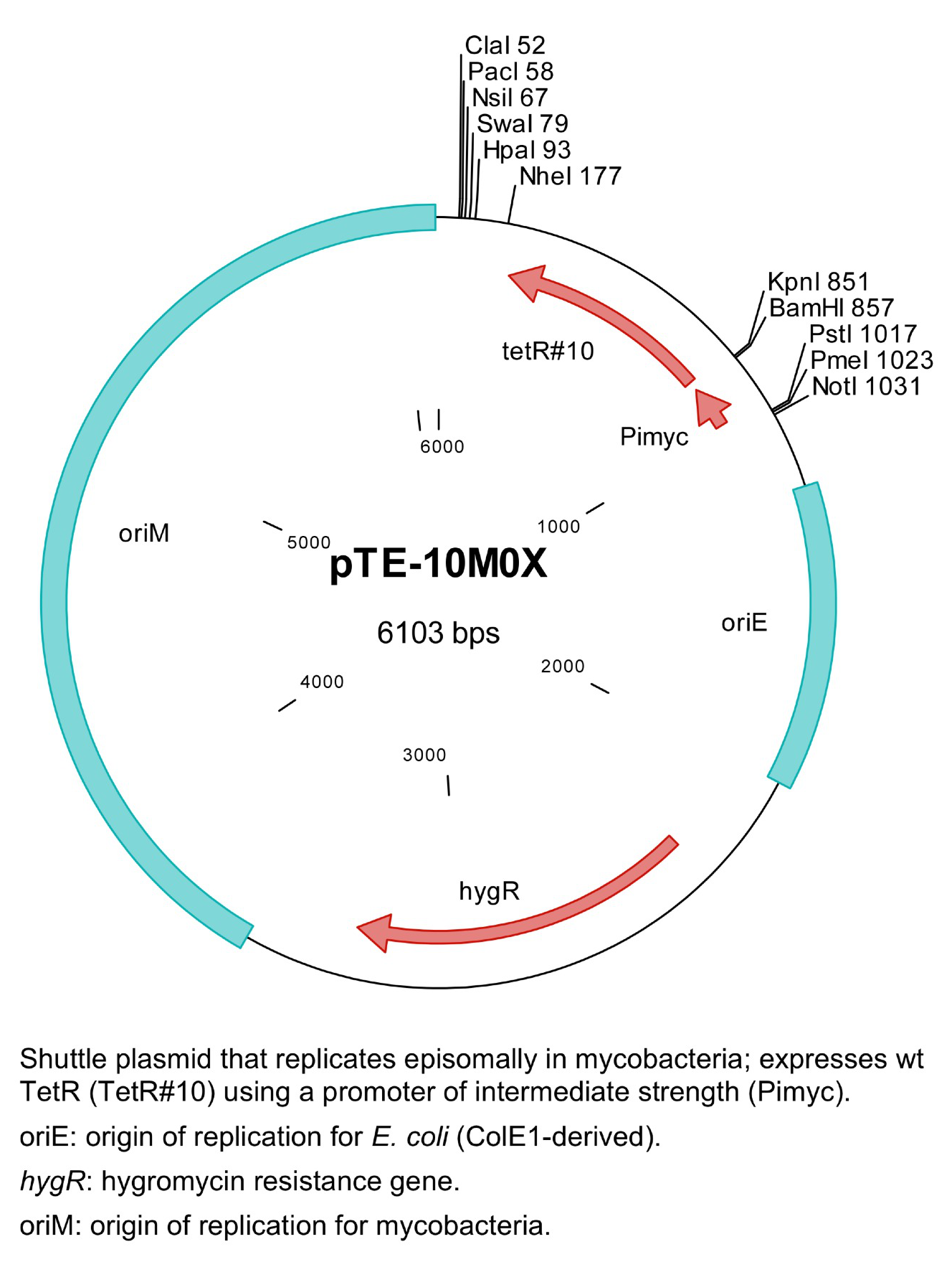 ZK1555 pTE-10M0X.png