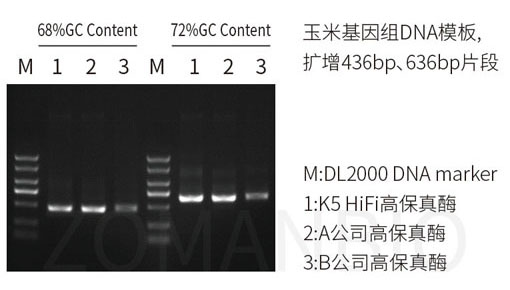 22.9 高保真酶圖4.jpg